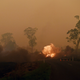 A burning gum tree is felled to stop it from falling on a car in Corbago, as bushfires continue in New South Wales, Australia January 5, 2020.